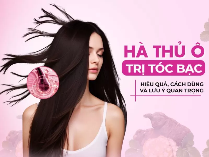 Hà Thủ Ô Đỏ: Bí Quyết Trường Thọ và Vẻ Đẹp Từ Phương Đông